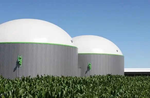 Rosendale Waste To Energy