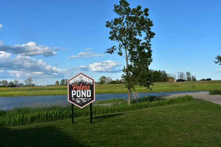 Peter's Pond