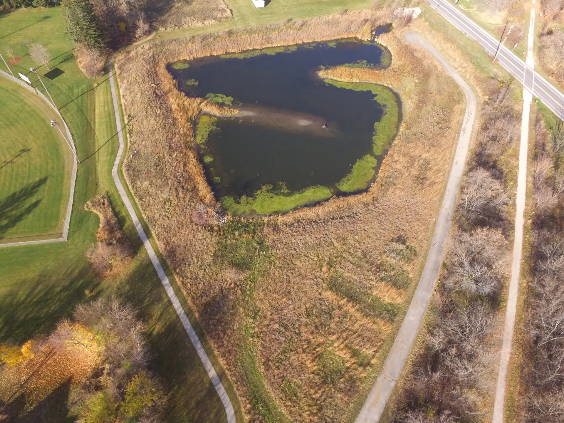 certified wetland delineator, What is Wetland Delineation