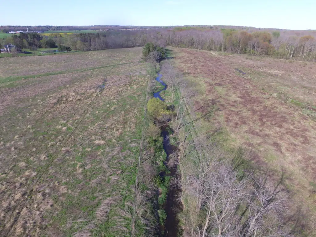 McMahon wetland delineation, What is Wetland Delineation
